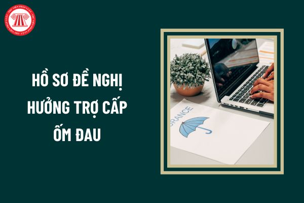 Có bắt buộc các giấy tờ trong hồ sơ đề nghị hưởng trợ cấp ốm đau đều là bản chính không?