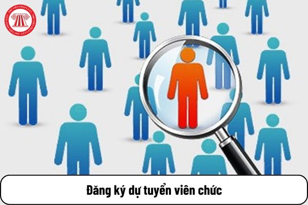 Người dưới 18 tuổi được đăng ký dự tuyển viên chức trong lĩnh vực nào?