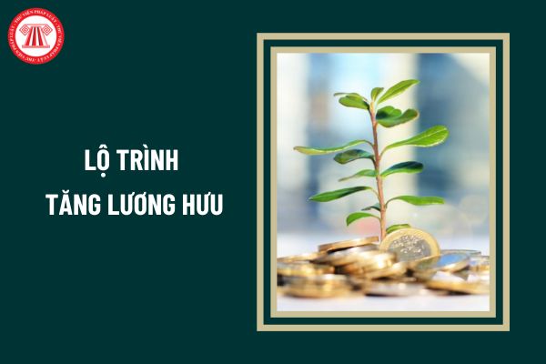 Lộ trình tăng lương hưu giai đoạn 2024 - 2025 cho người lao động như thế nào?