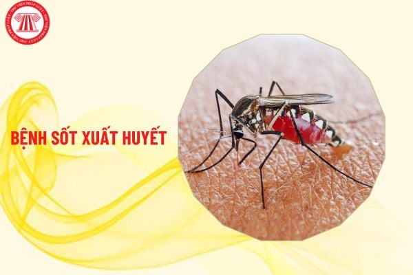 Những dấu hiệu cảnh báo bệnh sốt xuất huyết?