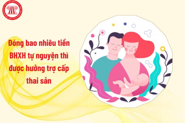 Từ 1/7/2025 đóng bao nhiêu tiền BHXH tự nguyện thì được hưởng trợ cấp thai sản?