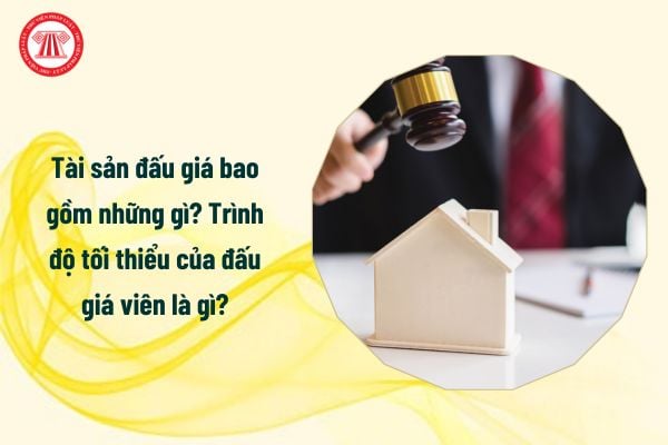 Tài sản đấu giá từ 1/1/2025 bao gồm những gì? Trình độ tối thiểu của đấu giá viên là gì?