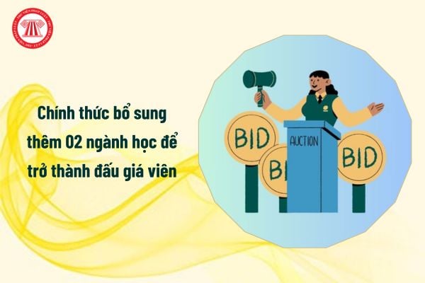 Chính thức bổ sung thêm 02 ngành học từ 2025 để trở thành đấu giá viên, đó là ngành nào?