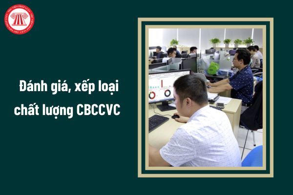 Cán bộ công chức viên chức bị xử lý kỷ luật đảng thì đánh giá, xếp loại chất lượng như thế nào?