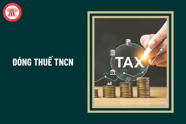 Người nước ngoài có phải đóng thuế TNCN từ tiền lương, tiền công không?