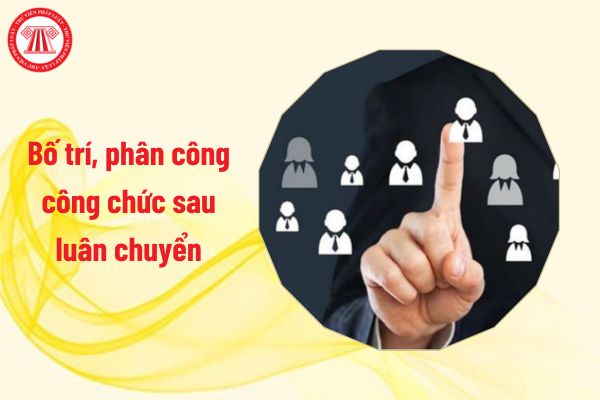 Bố trí, phân công công chức sau luân chuyển căn cứ vào đâu?