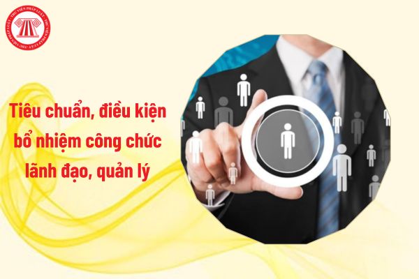 Tiêu chuẩn, điều kiện bổ nhiệm công chức lãnh đạo, quản lý mới nhất ra sao?