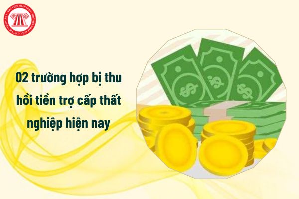 thu hồi tiền trợ cấp thất nghiệp