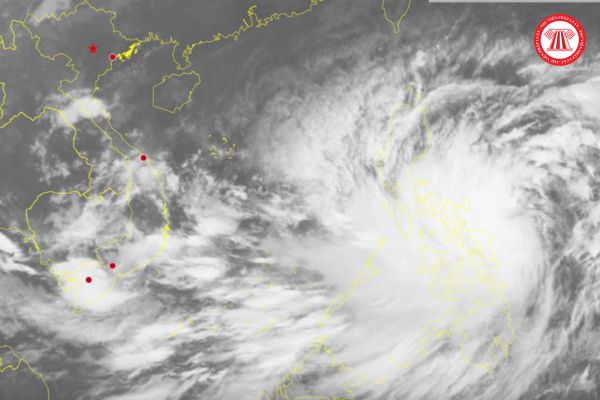 Bão Trà Mi mới nhất: Dự báo tình hình bão TRAMI ngày 26 - 29 tháng 10/2024?