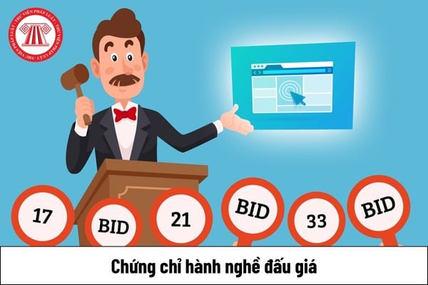 Công chức, viên chức có được cấp Chứng chỉ hành nghề đấu giá hay không?