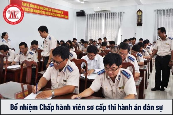 Hồ sơ đề nghị bổ nhiệm Chấp hành viên sơ cấp thi hành án dân sự bao gồm những gì?