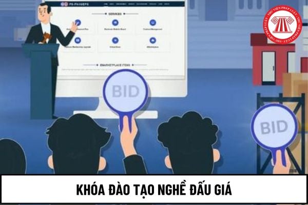 Đấu giá viên không cần phải tốt nghiệp khóa đào tạo nghề đấu giá trong trường hợp nào?