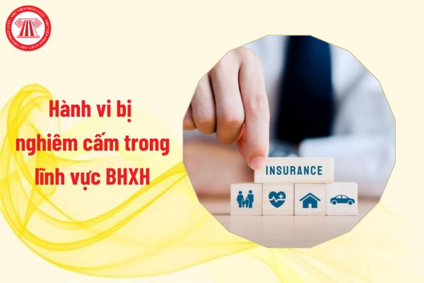 10 hành vi bị nghiêm cấm trong lĩnh vực bảo hiểm xã hội từ tháng 7/2025 là gì?