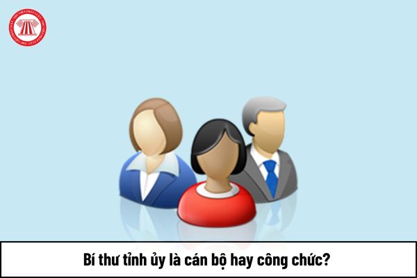 Bí thư tỉnh ủy thuộc diện Bộ Chính trị quản lý là cán bộ hay công chức? 