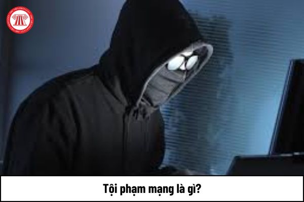 Tội phạm mạng là gì?