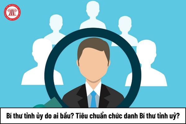 Bí thư tỉnh ủy do ai bầu? Tiêu chuẩn chức danh Bí thư tỉnh uỷ như thế nào?