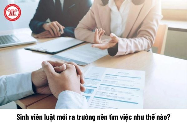 Sinh viên luật mới ra trường nên tìm việc như thế nào?