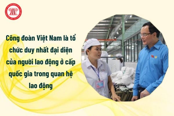 Công đoàn Việt Nam là tổ chức duy nhất đại diện của người lao động ở cấp quốc gia trong quan hệ lao động