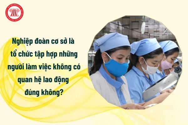 Nghiệp đoàn cơ sở là tổ chức tập hợp những người làm việc không có quan hệ lao động đúng không?