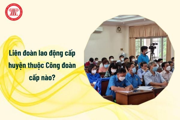 Liên đoàn lao động cấp huyện thuộc Công đoàn cấp nào?