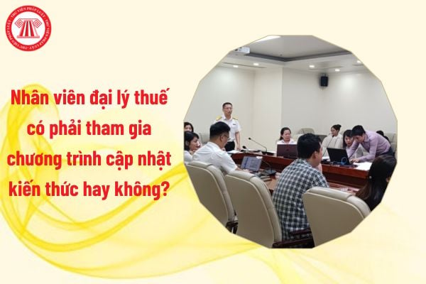 Nhân viên đại lý thuế có phải tham gia chương trình cập nhật kiến thức hay không?