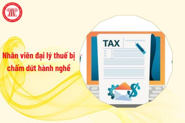 Nhân viên đại lý thuế bị chấm dứt hành nghề sau thời gian đình chỉ trong trường hợp nào?