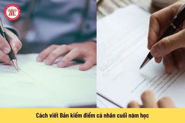 Cách viết Bản kiểm điểm cá nhân cuối năm học của giáo viên cấp 1, cấp 2, cấp 3 chi tiết nhất?