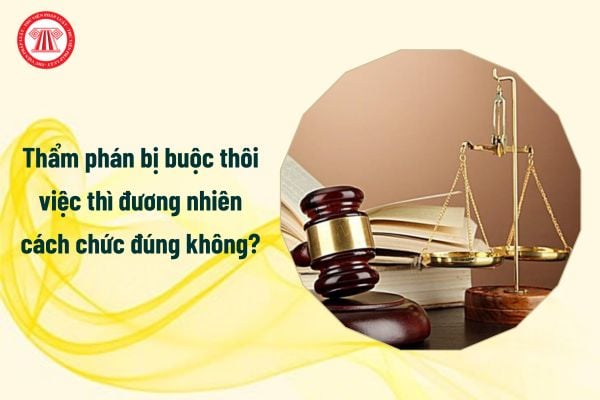 Thẩm phán bị buộc thôi việc thì đương nhiên cách chức đúng không?