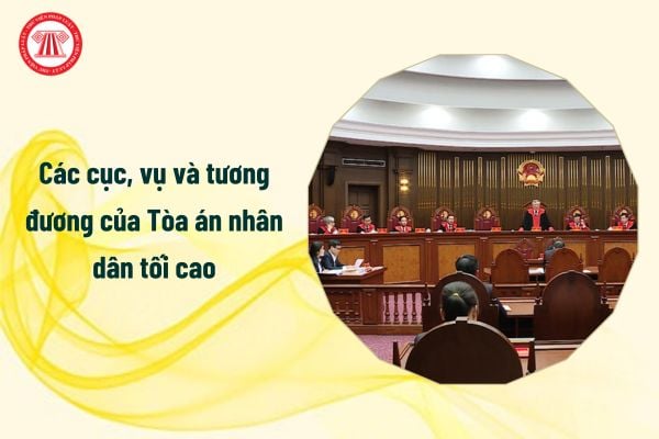 Các cục, vụ và tương đương của Tòa án nhân dân tối cao từ 1/1/2025 gồm những gì?