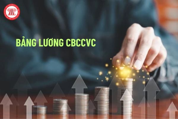 Chính thức 01 bảng lương chức vụ, 01 bảng lương chuyên môn nghiệp vụ của CBCCVC