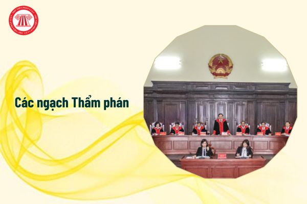 Các ngạch Thẩm phán có hiệu lực từ 1/1/2025?