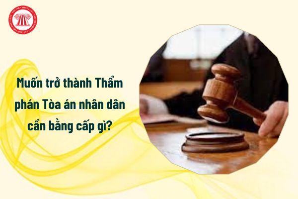 Muốn trở thành Thẩm phán Tòa án nhân dân cần bằng cấp gì?