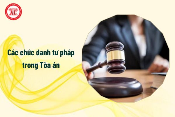 Các chức danh tư pháp trong Tòa án từ 1/1/2025?