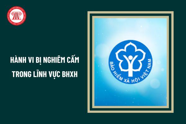 Từ 1/7/2025 các hành vi nào bị nghiêm cấm trong lĩnh vực bảo hiểm xã hội?