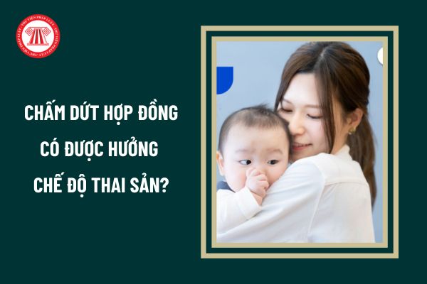 Từ 1/7/2025 viên chức chấm dứt hợp đồng làm việc trước thời điểm sinh con có được hưởng chế độ thai sản không?