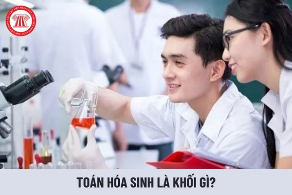 Toán hóa sinh là khối gì? Khối toán hóa sinh phù hợp với ngành gì?