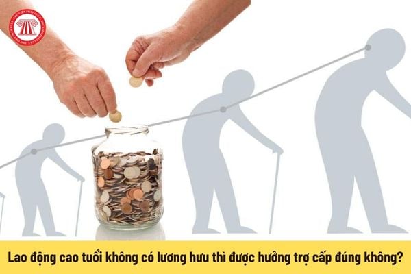 Chính thức từ 1/7/2025 lao động cao tuổi không có lương hưu thì được hưởng trợ cấp đúng không?