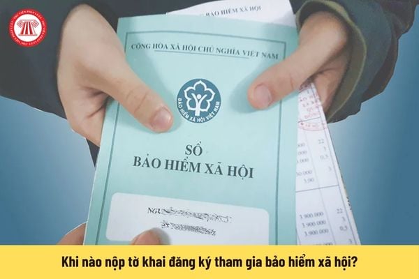 Khi nào nộp tờ khai đăng ký tham gia bảo hiểm xã hội?