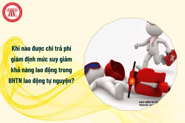 Khi nào được chi trả phí giám định mức suy giảm khả năng lao động trong BHTN lao động tự nguyện?