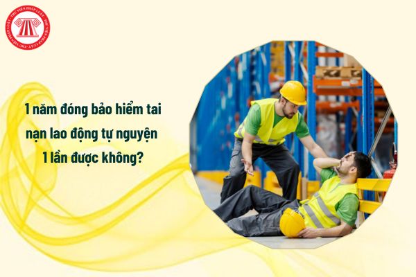 1 năm đóng bảo hiểm tai nạn lao động tự nguyện 1 lần được không?