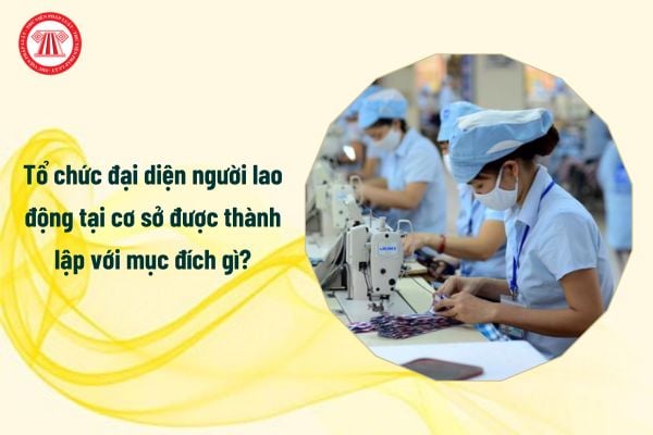 Tổ chức đại diện người lao động tại cơ sở được thành lập với mục đích gì?