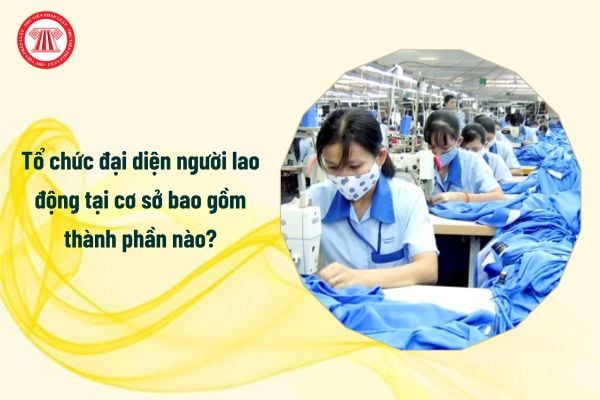 Tổ chức đại diện người lao động tại cơ sở bao gồm thành phần nào?