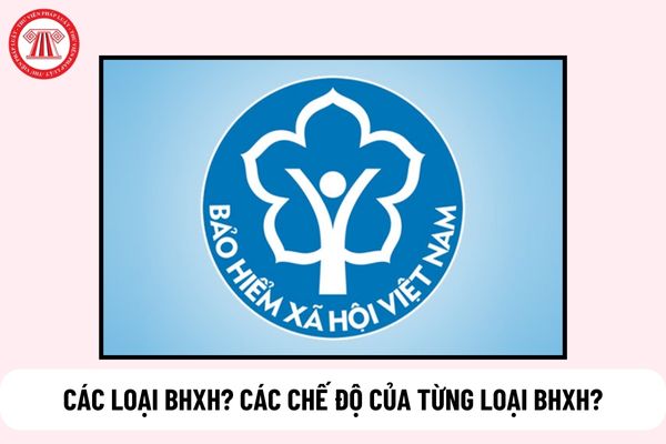 Có bao nhiêu loại bảo hiểm xã hội? Liệt kê chế độ của từng loại BHXH?