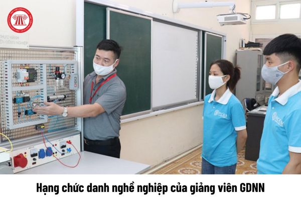 Từ 12/10/2024 chính thức có hạng chức danh nghề nghiệp của giảng viên giáo dục nghề nghiệp, cụ thể ra sao?