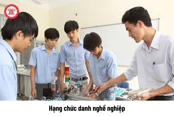 Hạng chức danh nghề nghiệp của giáo viên giáo dục nghề nghiệp là bao nhiêu?