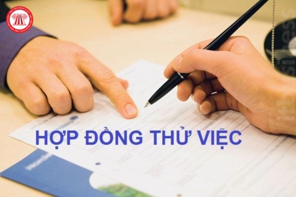 Mẫu hợp đồng thử việc mới nhất 2025 dành cho doanh nghiệp? Tải file word ở đâu?