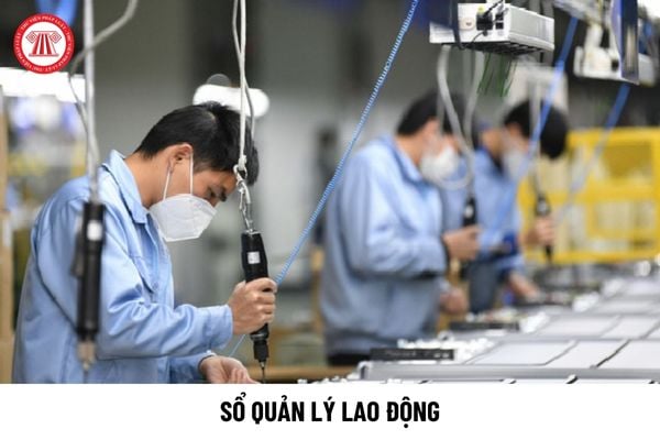 Doanh nghiệp phải lập sổ quản lý lao động ở nơi đặt trụ sở, chi nhánh, văn phòng đại diện trong thời hạn 30 ngày đúng không?