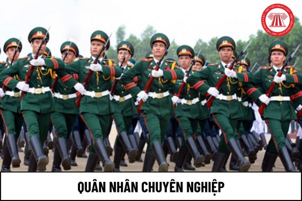 Quân nhân chuyên nghiệp có hành vi vi phạm bị phạt tù thì có đương nhiên bị tước quân hiệu không?