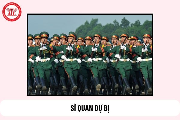 Hồ sơ tuyển chọn đào tạo sĩ quan dự bị trong quân đội gồm những gì?