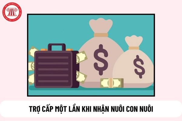 Từ 1/7/2025 nhận nuôi con nuôi dưới 06 tháng tuổi mà NLĐ không nghỉ việc thì chỉ được hưởng trợ cấp một lần đúng không?